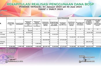 Rekapitulasi Realisasi Pengguanaan Dana BOSP
